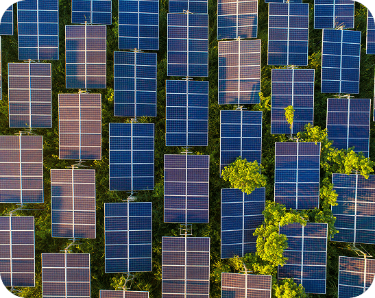 Solar farm growth illustration